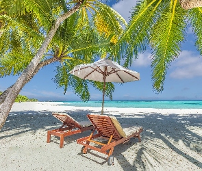Morze, Piasek, Palmy, Niebo, Parasol, Plaża, Leżaki