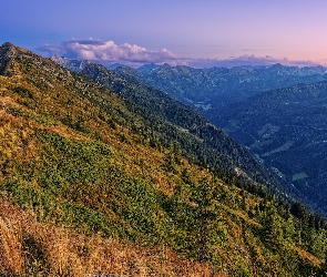 Schladminger Tauern, Austria, Lasy, Dolina, Góry