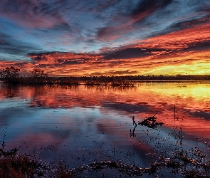 Chmury, Wschód słońca, Chatfield State Park, Lake Chatfield, Kolorado, Jezioro, Stany Zjednoczone, Drzewa