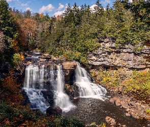 Wodospad, Rośliny, Skały, Drzewa, Wirginia, Blackwater Falls, Stany Zjednoczone, Rzeka Blackwater