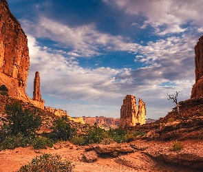 Utah, Park Narodowy Arches, Skały, Stany Zjednoczone, Krzewy, Góry, Formacja Courthouse Towers