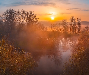 Drzewa, Mgła, Wschód słońca, Krzewy, Rzeka