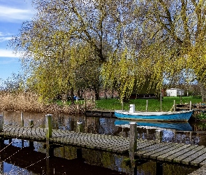 Trawy, Wierzby, Pomost, Wiosna, Drzewa, Jezioro, Łódka