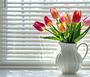 Grafika, Żaluzja, Bukiet, Tulipany, Dzbanek, Okno