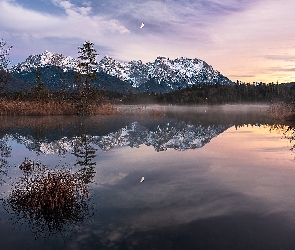 Niemcy, Garmisch-Partenkirchen, Odbicie, Bawaria, Jezioro Barmsee, Góry, Drzewa, Kępka, Poranek, Trawy