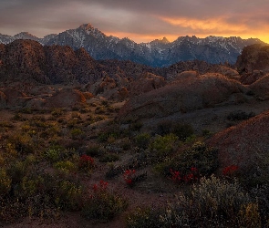 Sierra Nevada, Krzewy, Góry, Alabama Hills, Kalifornia, Pasmo, Stany Zjednoczone, Zachód słońca