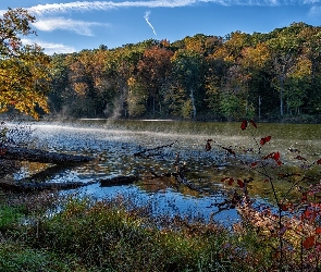 Indiana, Trawa, Jezioro, Stany Zjednoczone, Drzewa, Jesień, Ogle Lake
