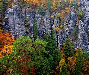 Park Narodowy Saskiej Szwajcarii, Drzewa, Jesień, Skały, Niemcy