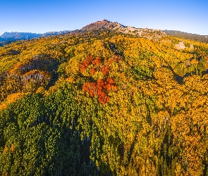 Kolorado, Góry, Stany Zjednoczone, Kebler Pass, Drzewa, Przełęcz, Jesień, Las