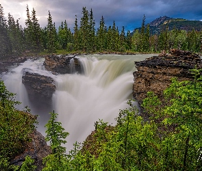 Prowincja Alberta, Drzewa, Kanada, Góry, Wodospad Athabasca, Park Narodowy Jasper, Skały, Świerki
