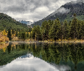 Stany Zjednoczone, Kolorado, Drzewa, Góry Skaliste, Jezioro, Officers Gulch Pond