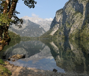 Góry, Niemcy, Park Narodowy Berchtesgaden, Jezioro Obersee, Drzewo