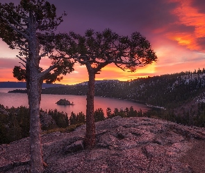Tahoe Lake, Lasy, Jezioro, Park Emerald Bay, Kalifornia, Wyspa Fannette, Stany Zjednoczone, Drzewa