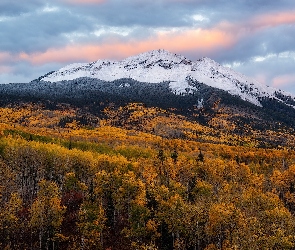 Rocky Mountains, Lasy, Stany Zjednoczone, Jesień, Roślinność, Góry Skaliste, Chmury, Drzewa