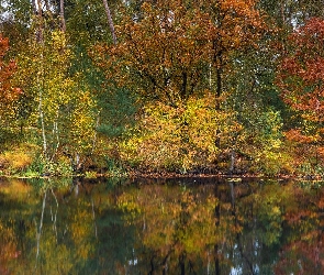 Drzewa, Jesień, Odbicie, Jezioro, Kolorowe