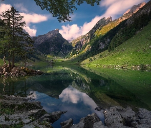 Odbicie, Chmury, Jezioro Seealpsee, Szwajcaria, Drzewa, Góry, Kamienie
