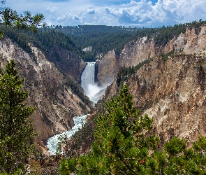 Stany Zjednoczone, Drzewa, Park Narodowy Yellowstone, Stan Wyoming, Upper Yellowstone River Falls, Wodospad, Drzewa, Góry, Górny, Rzeka Yellowstone