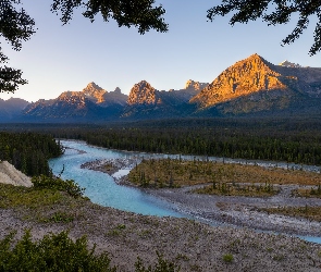 Alberta, Canadian Rockies, Kanada, Góry, Las, Park Narodowy Jasper, Drzewa, Rzeka