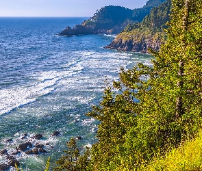 Wybrzeże, Oregon, Latarnia morska, Stany Zjednoczone, Heceta Head Lighthouse, Trawa, Morze, Skały, Drzewa