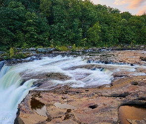 Ohiopyle Falls, Rzeka, Wodospad, Las, Pensylwania, Drzewa, Stany Zjednoczone, Youghiogheny River