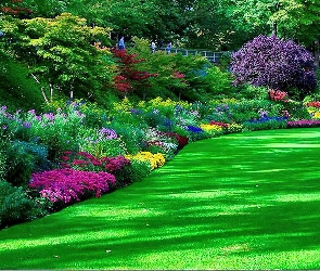 Trawa, Kwiaty, Park