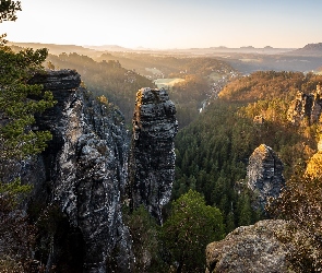 Góry Połabskie, Niemcy, Park Narodowy Saskiej Szwajcarii, Drzewa, Skały
