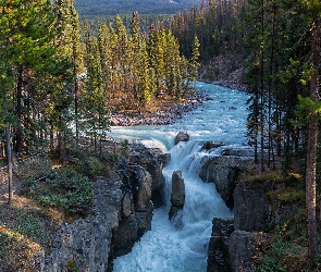 Las, Athabasca, Park Narodowy Jasper, Kanada, Rzeka, Wodospad, Drzewa, Sosny, Skały