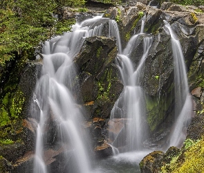 Stany Zjednoczone, Stan Waszyngton, Paradise River, Rzeka, Skały, Rośliny