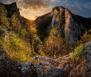 Drzewa, Słowacja, Wąwóz Maniński, Skały, Góry Strażowskie