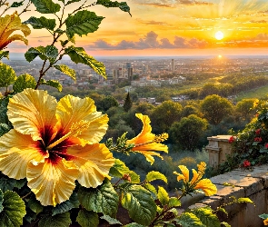 Kwiaty, Grafika, Zachód słońca, Widok, Hibiskus