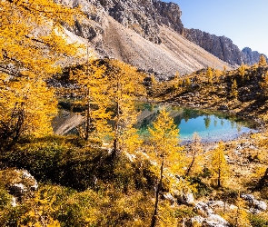 Góry, Modrzewie, Drzewa, Jezioro, Jesień