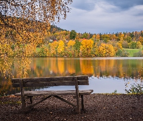 Las, Ławka, Jesień, Drzewa, Jezioro