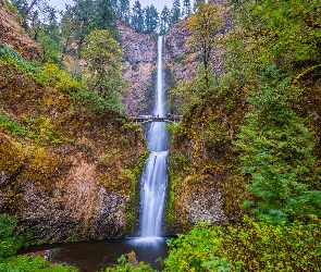 Wodospad, Oregon, Drzewa, Stany Zjednoczone, Roślinność, Skały, Multnomah Falls, Jesień, Most