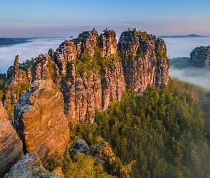 Góry Połabskie, Drzewa, Poranek, Schrammsteine, Park Narodowy Saskiej Szwajcarii, Skały, Niemcy, Mgła