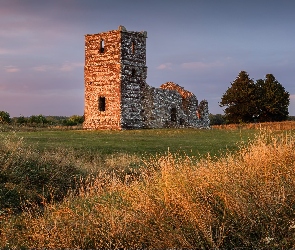 Wielka Brytania, Trawa, Ruiny, Zachód Słońca, Drzewa, Knowlton Church, Anglia, Wimborne, Kościół
