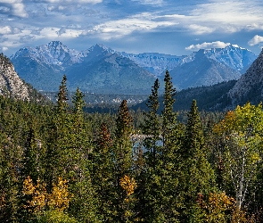 Alberta, Fairholme Range, Kanada, Góry, Drzewa, Park Narodowy Banff, Jesień, Lasy