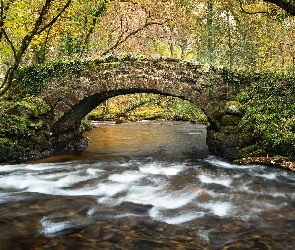 Anglia, Drzewa, Kamienie, Dartmoor, Kamienny, River Bovey, Most, Hisley Bridge, Rzeka, Omszałe