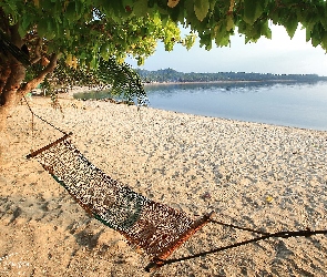 Ticao Island, Wyspa, Plaża, Filipiny, Hamak, Morze, Drzewa