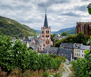 Powiat Mainz-Bingen, Kaplica Wernera, Niemcy, Kościół św Piotra, Domy, Bacharach, Góry, Wernerkapelle