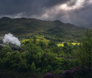 Wiadukt Glenfinnan, Drzewa, Miejscowość Glenfinnan, Pociąg parowy, Dolina, Szkocja, Góry