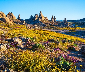 Stany Zjednoczone, Słoneczny, Kamienie, Dzień, Roślinność, Skały, Kalifornia, Park Trona Pinnacles, Góry