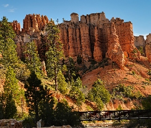 Stany Zjednoczone, Utach, Drzewa, Skały, Most, Park Narodowy Bryce Canyon