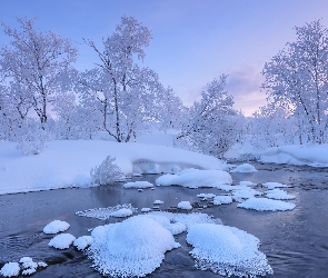 Rzeka, Drzewa, Śnieg, Ośnieżona, Zima
