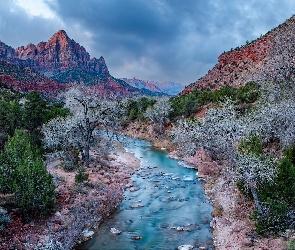Góry, Drzewa, Góra Watchman, Virgin River, Utah, Rzeka, Stany Zjednoczone, Park Narodowy Zion