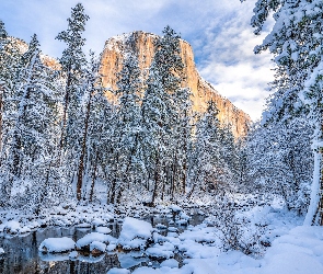 Kalifornia, Drzewa, Park Narodowy Yosemite, Zima, El Capitan, Stany Zjednoczone, Rzeka, Góra