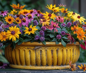 Donica, Żółta, Kwiaty, Kolorowe, Rudbekia, Dalia