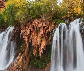 Arizona, Roślinność, Fifty Foot Falls, Wodospad, Stany Zjednoczone