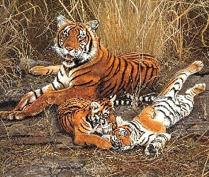 Tygrysy, Igraszki