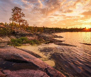 Rosja, Karelia, Jezioro Ładoga, Wschód słońca, Skały, Drzewa