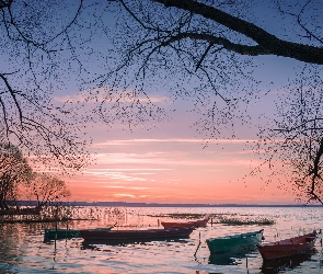 Łódki, Jezioro, Gałęzie, Drzewa, Zachód słońca